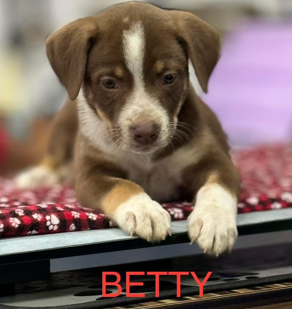 Betty