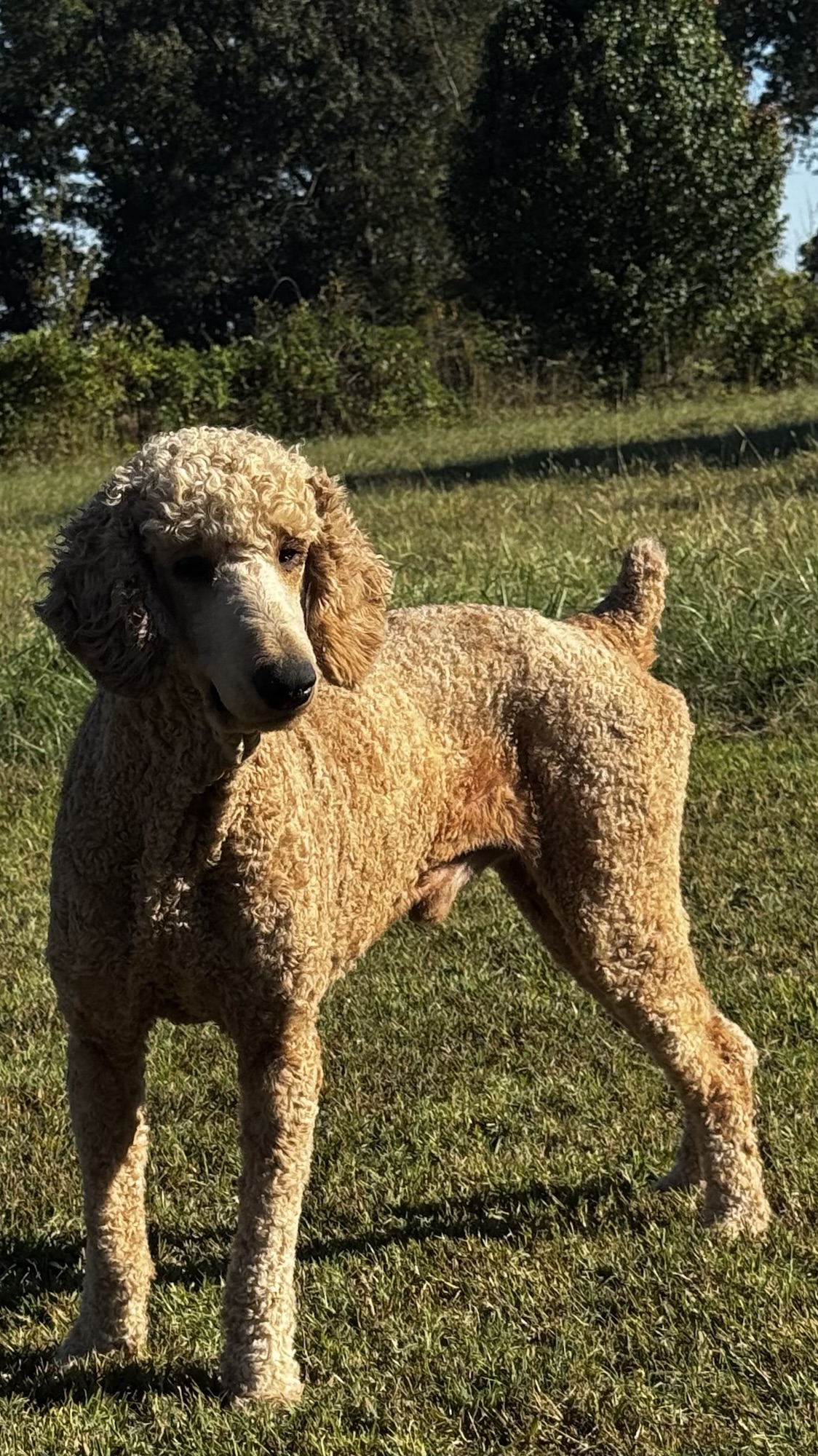 Sam